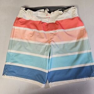 Art Class Boys‎ Size 16 Multicolor Striped Swim Shorts